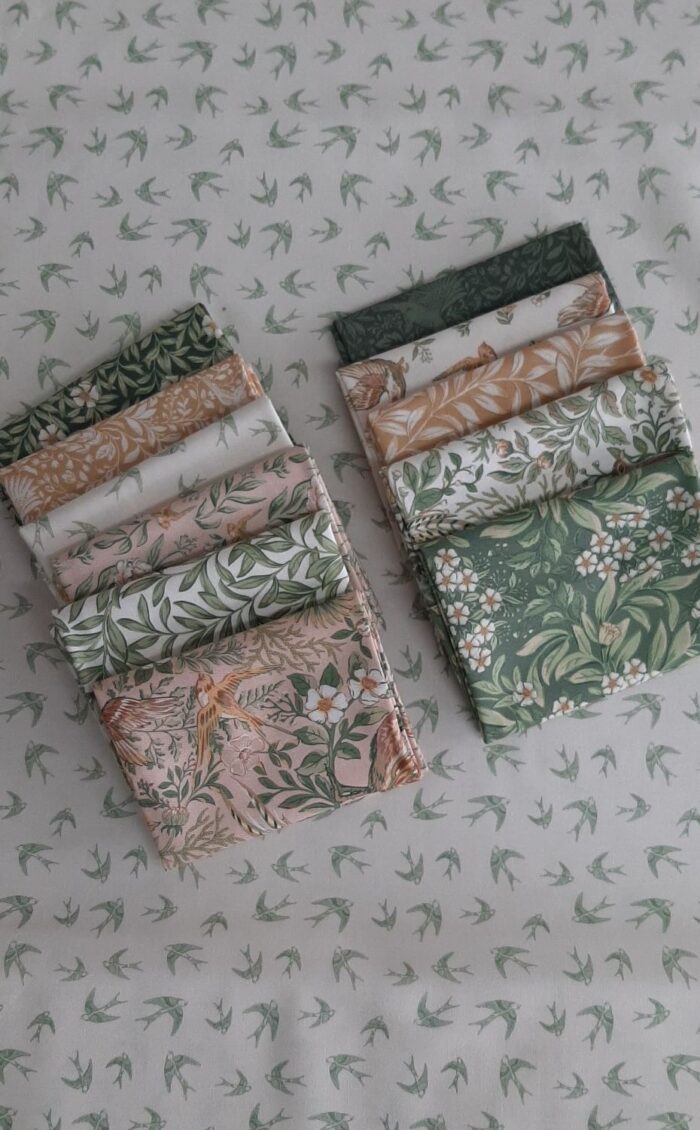 Ornithology Fat 1/4 Bundle by Brett Lewis - Image 2
